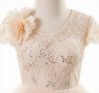 The Nectar Tulle Gala Gown